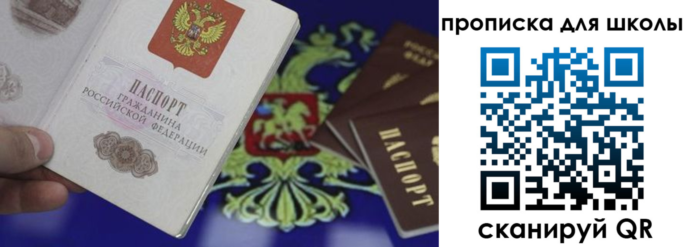 временная регистрация поиск в Братске